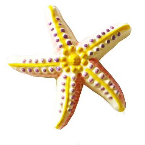 Stella marina in ceramica di Vietri - carina come porta fortuna e come bomboniera
